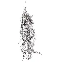 630591黄.webp