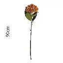 631422-4.webp