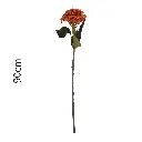 631422-3.webp