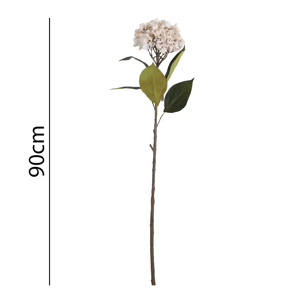 631422-1.webp