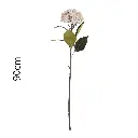 631422-1.webp
