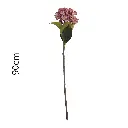 631422-2.webp