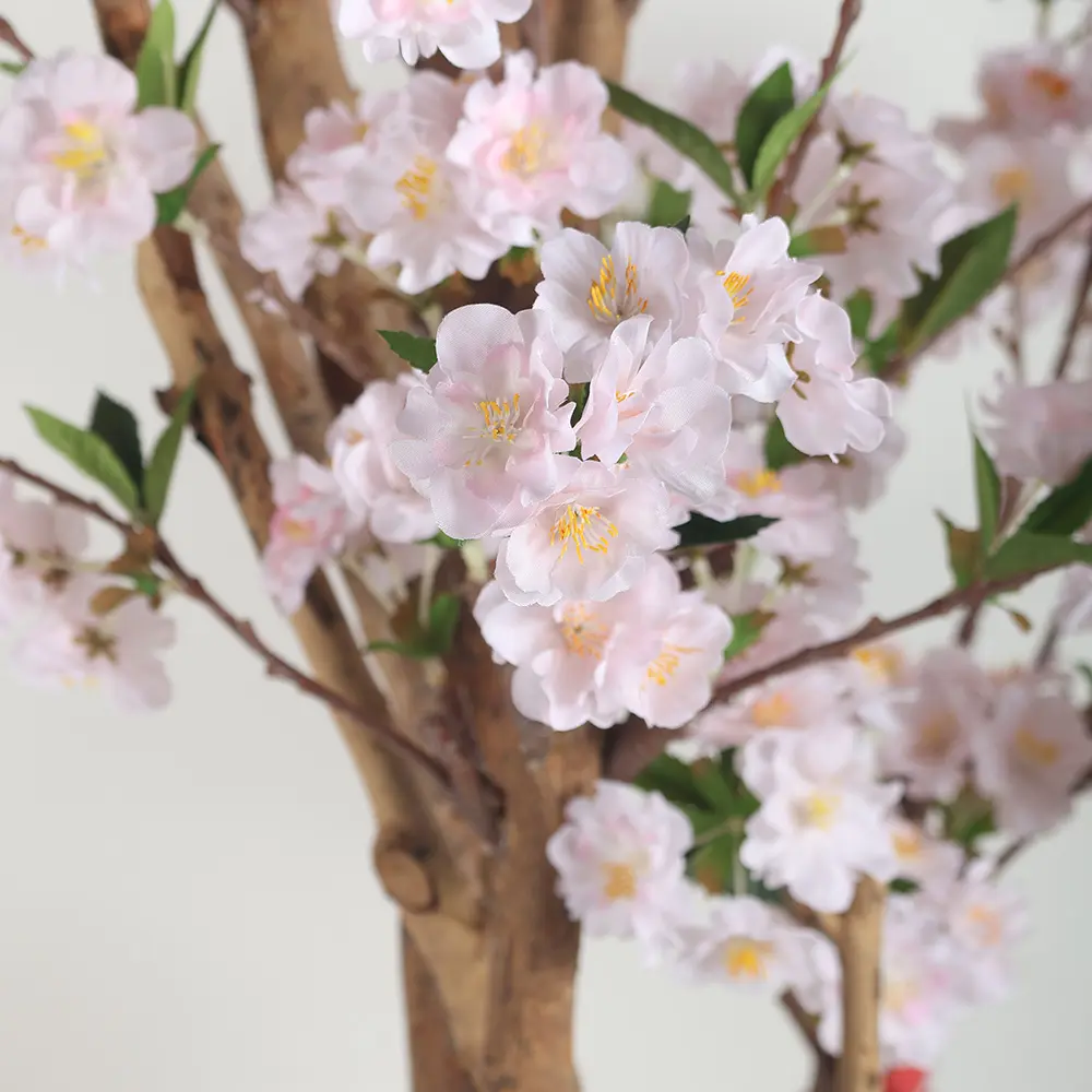631358-1.webp