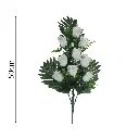 MF26041.1.webp