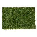 3.1 BANUS 18MM.webp