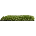 4.3 CUBA 33MM.webp