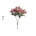 631664.3.webp