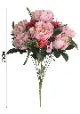 631073粉.webp