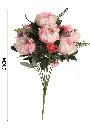 631073紫白.webp