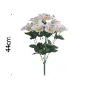 MF26004.1.webp
