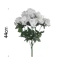 MF26005.1.webp
