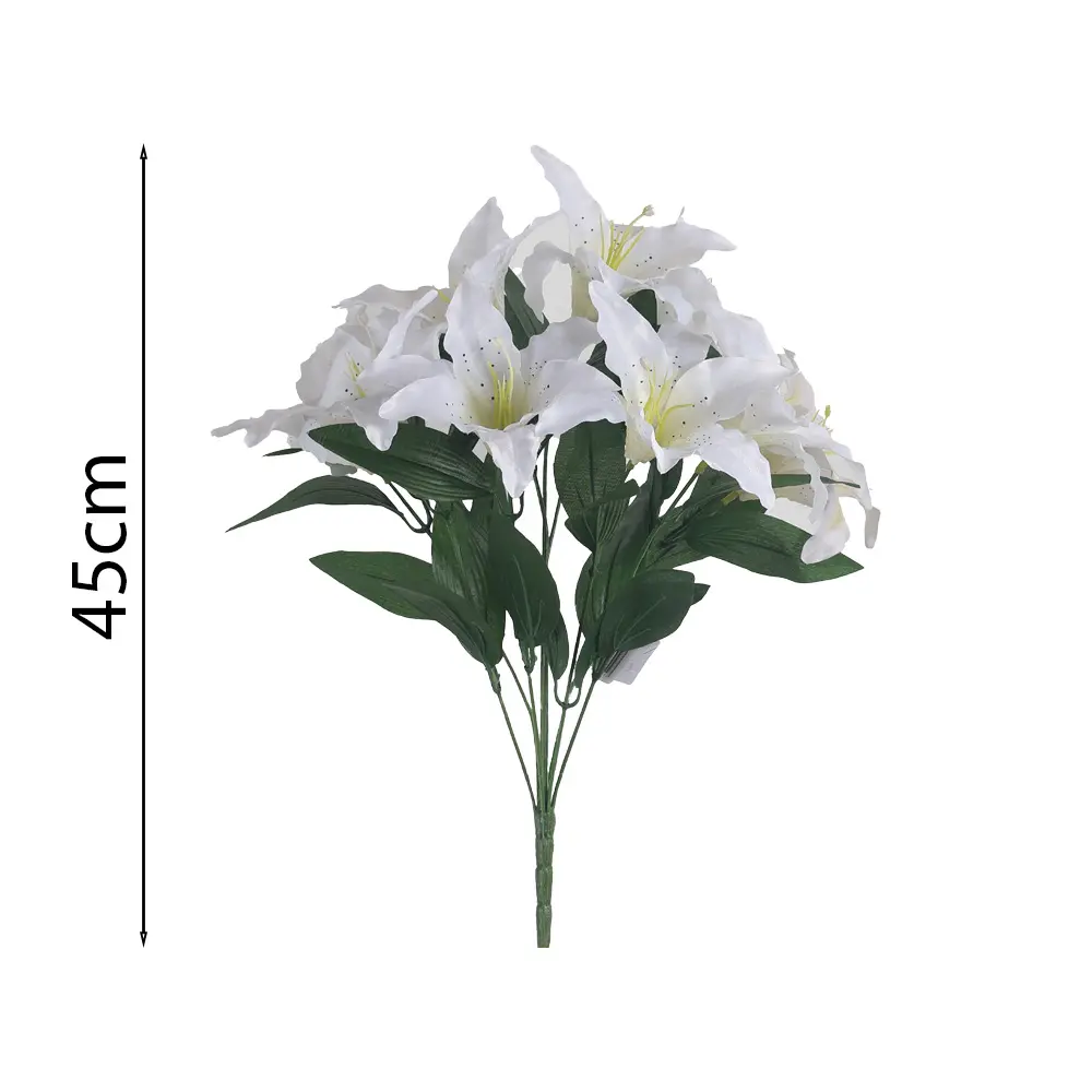 MF26007.1.webp