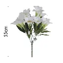 MF26008.1.webp