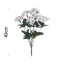 MF26009.1.webp