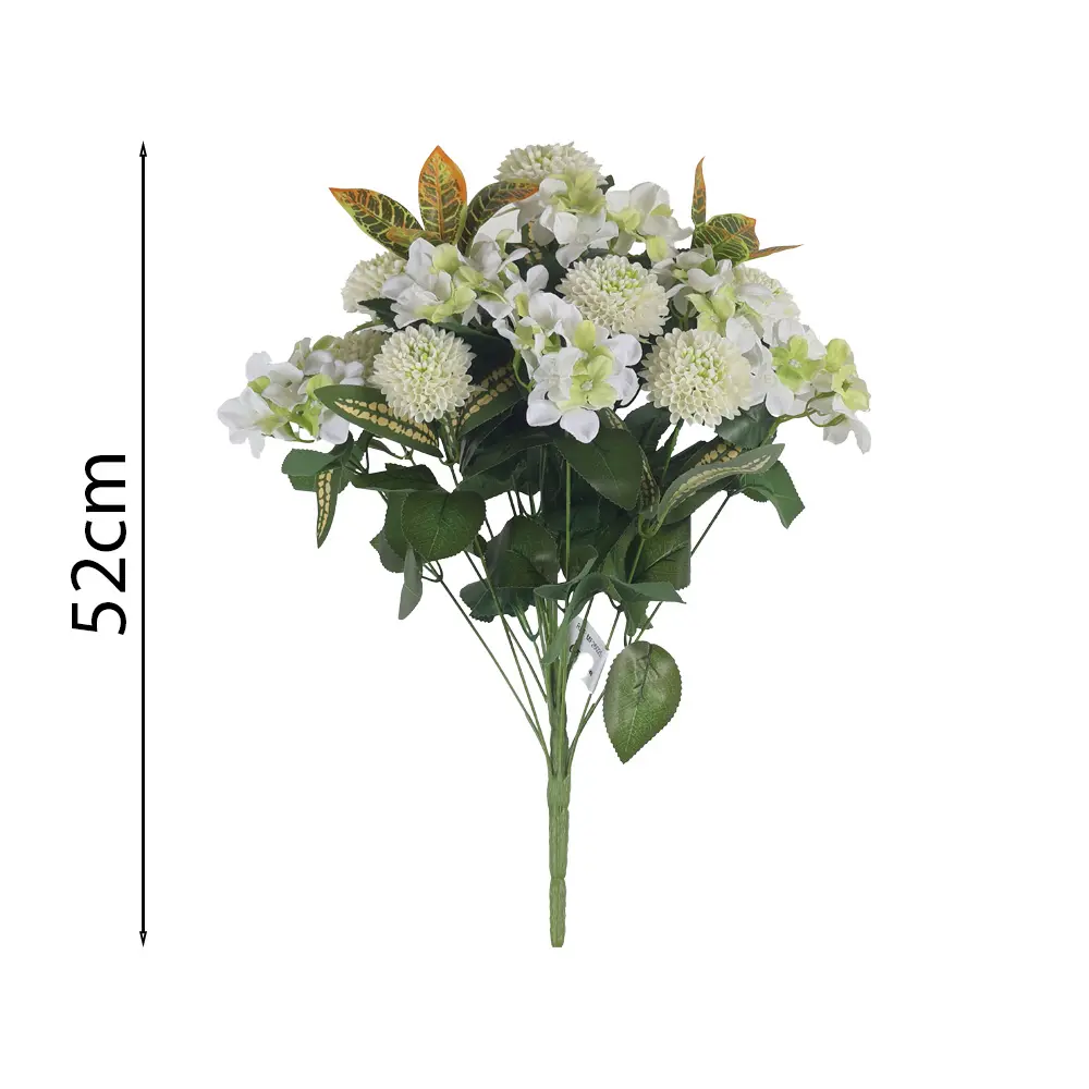 MF26025.1.webp