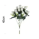 MF26026.1.webp