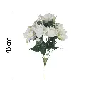 MF26027.1.webp