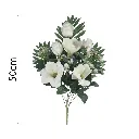 MF26029.1.webp