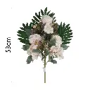 MF26030.1.webp