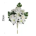 MF26035.1.webp