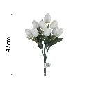 MF26037.1.webp