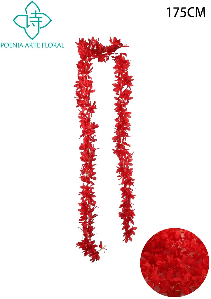 631178ROJO.webp