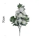MF26042.1.webp
