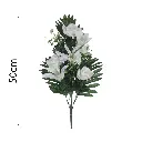 MF26044.1.webp