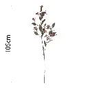 631654.1.webp