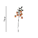 631647.1.webp