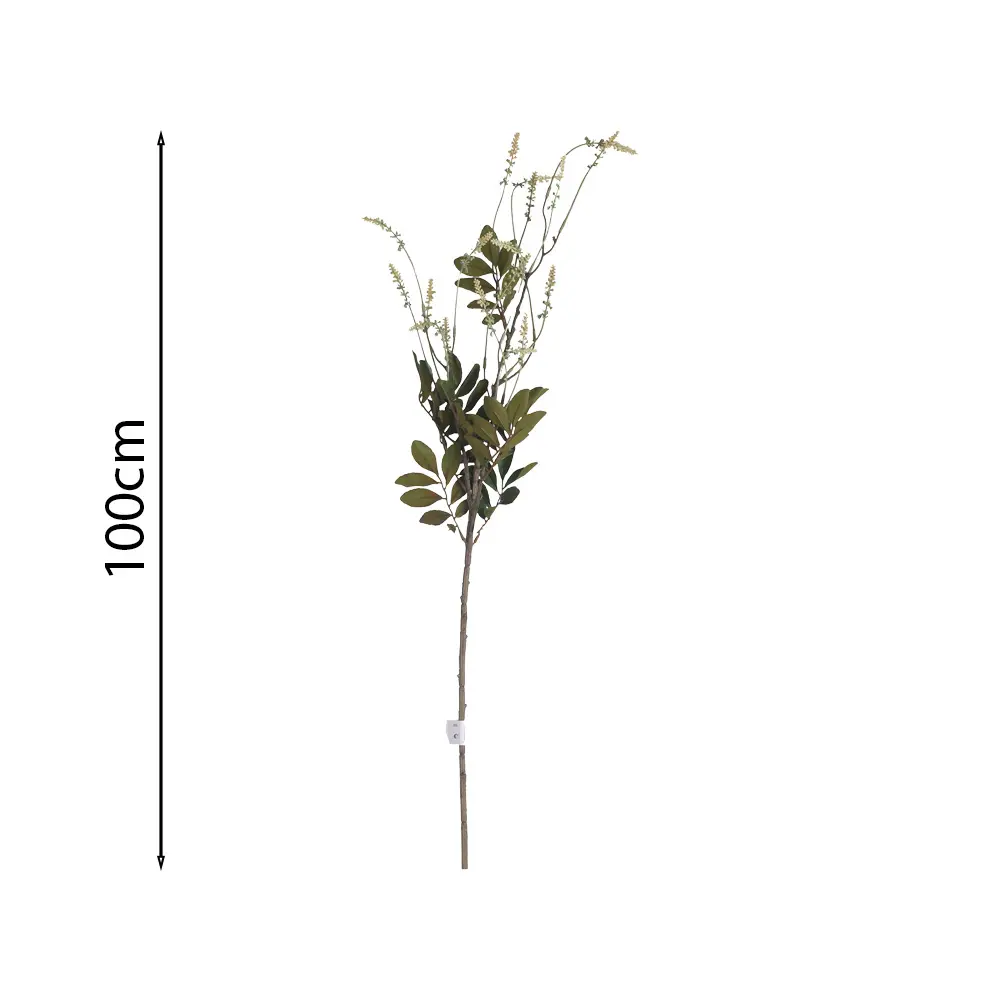 631650.1.webp