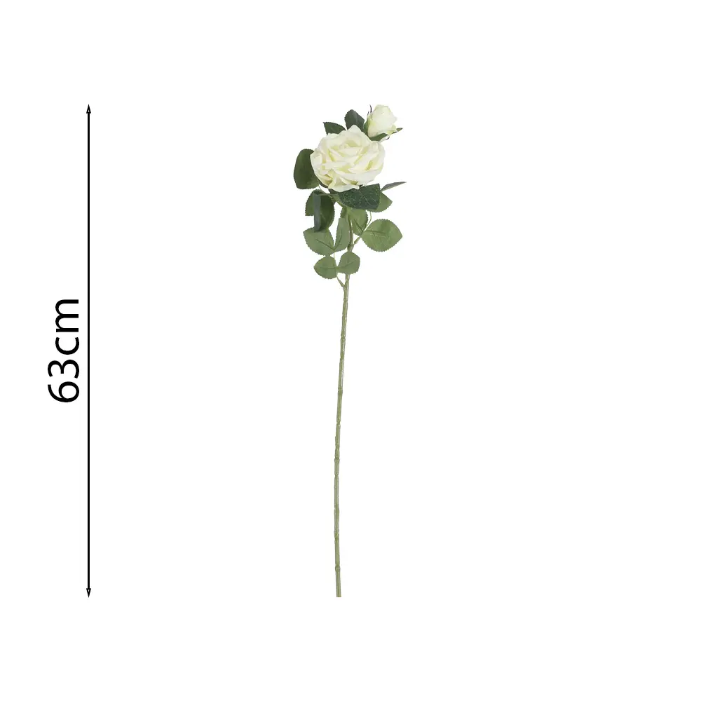 631618.1.webp