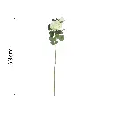 631618.1.webp