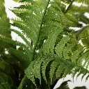 631222细节.webp