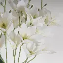 631643.1-1.webp