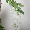 631615.1-1.webp