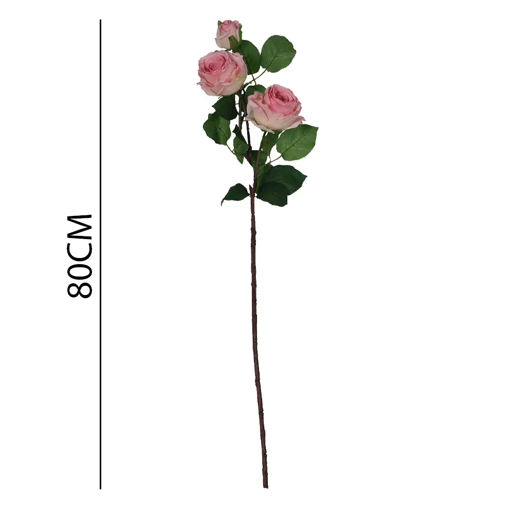 631135ROSA.webp