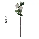 631135BLANCO.webp
