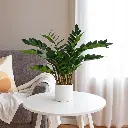 631344-2.webp