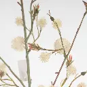 631681.1-1.webp
