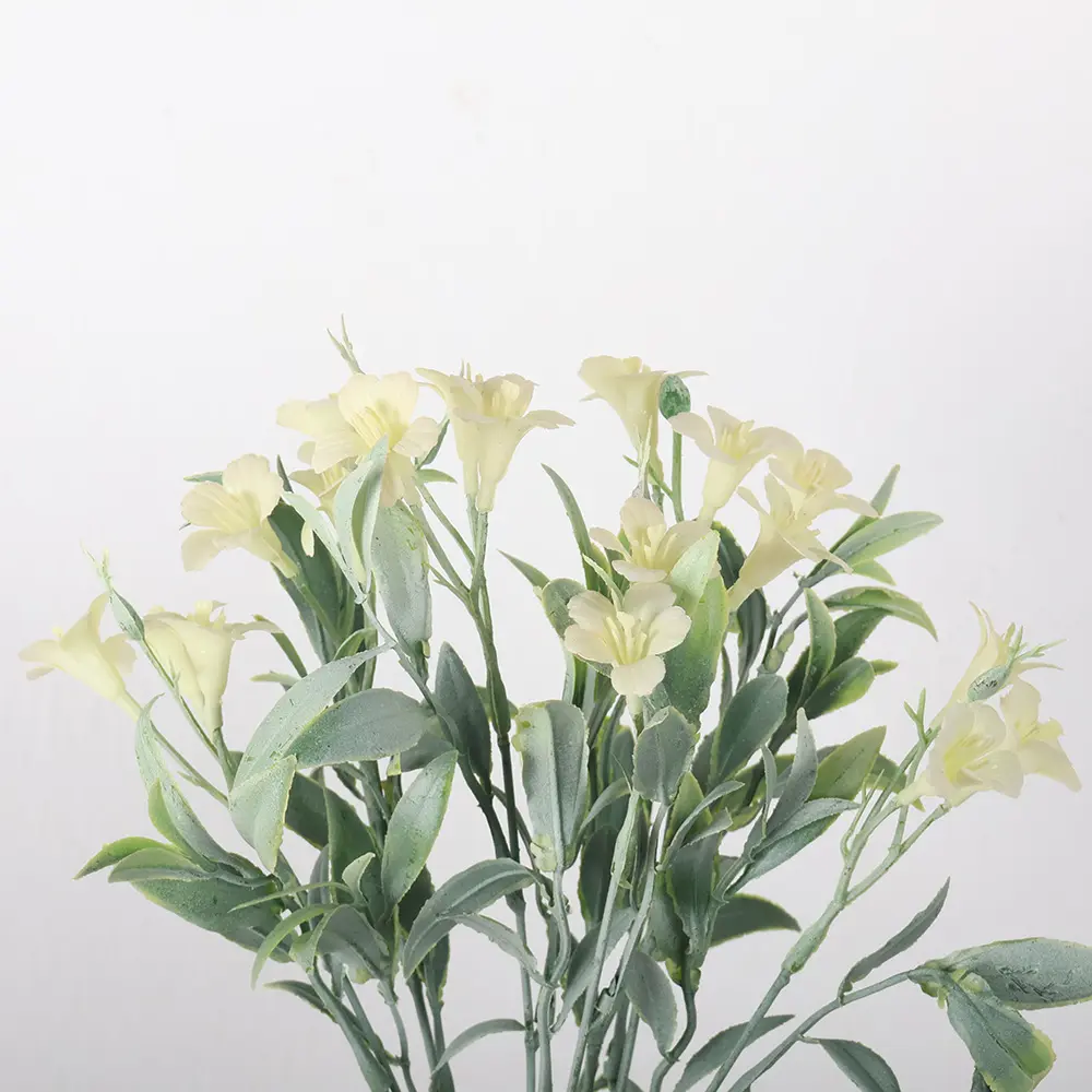 631308BLANCO-1.webp