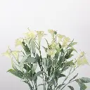 631308BLANCO-1.webp