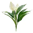 630905白色.webp