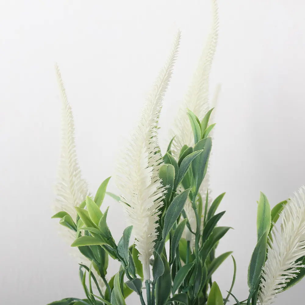 631306BLANCO-1.webp