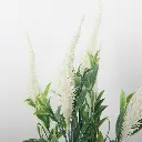 631306BLANCO-1.webp