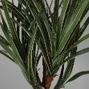 631752-1.webp