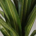 631751-1.webp