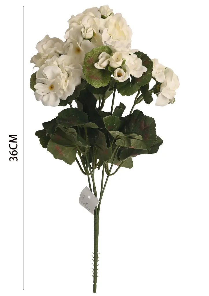 630977白色.webp