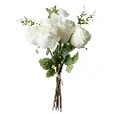630720奶白.webp