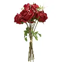 630720红色.webp